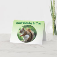 Red Squirrel Birthday