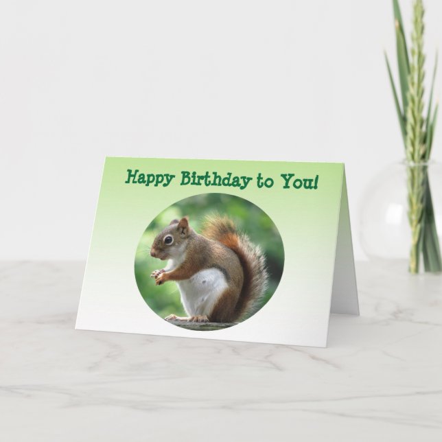 Red Squirrel Birthday Card (Front)