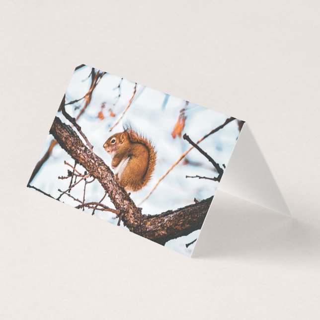 Red Squirrel Card (Front)