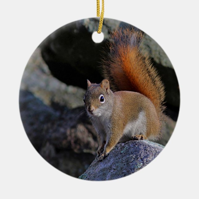 Red squirrel ceramic ornament (Front)