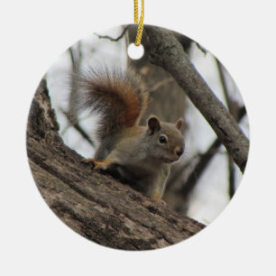 Red Squirrel Ceramic Ornament