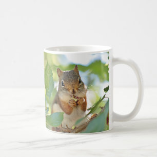 Red squirrel coffee mug