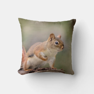 Red Squirrel Cushion
