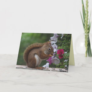 Red Squirrel Easter Holiday Card