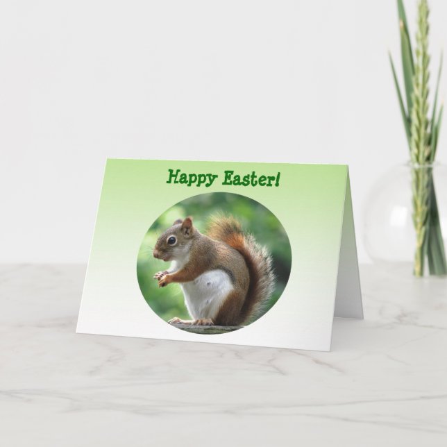 Red Squirrel Easter Holiday Card (Front)