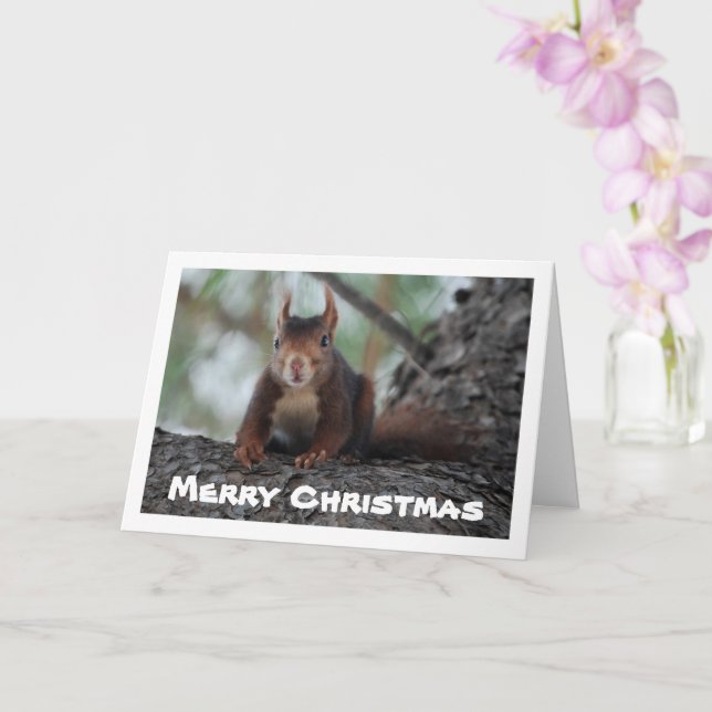 Red Squirrel in Tree Card (Orchid)