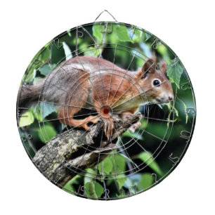 Red Squirrel in Tree Dartboard