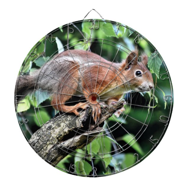 Red Squirrel in Tree Dartboard (Front)