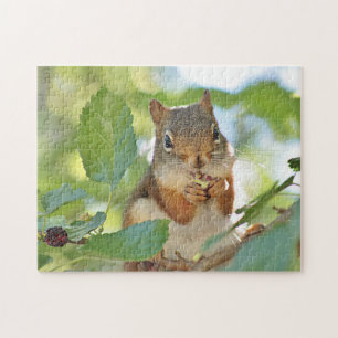 Red squirrel jigsaw puzzle