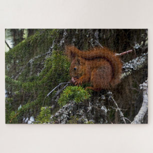 Red Squirrel Jigsaw Puzzle