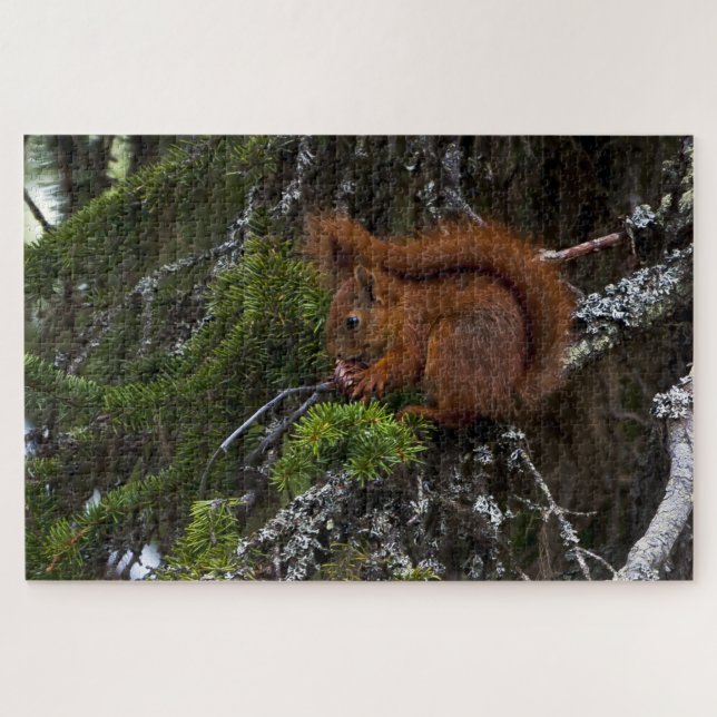 Red Squirrel Jigsaw Puzzle (Horizontal)