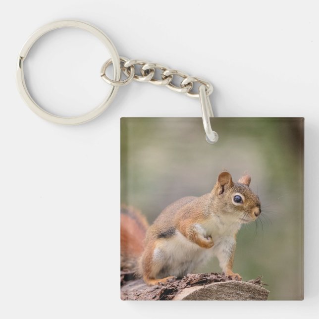 Red Squirrel Key Ring (Front)
