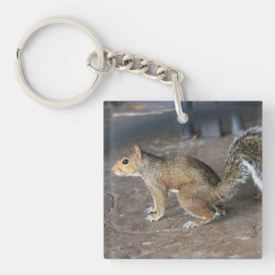 Red Squirrel Key Ring