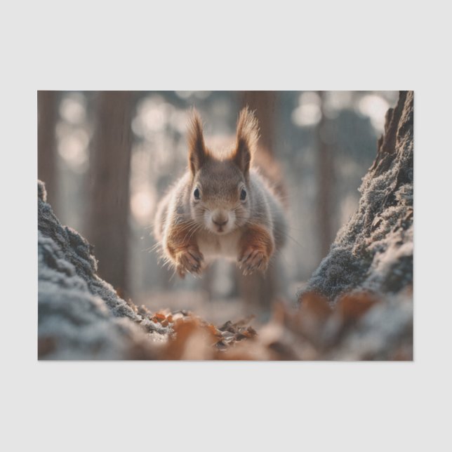 Red Squirrel Leaping in Frosty Forest Tissue Paper (Front)