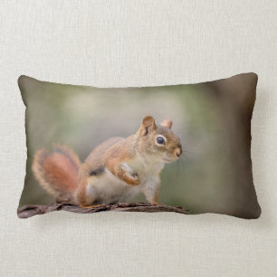 Red Squirrel Lumbar Cushion