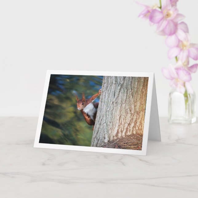Red Squirrel on Tree Card (Orchid)