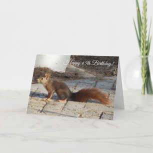Red Squirrel Personalised 65th Birthday Card