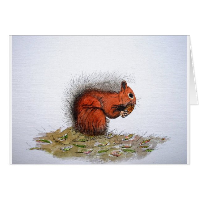 Red Squirrel pine cone (Front Horizontal)