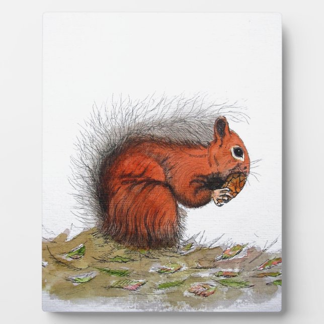 Red Squirrel pine cone Plaque (Front)