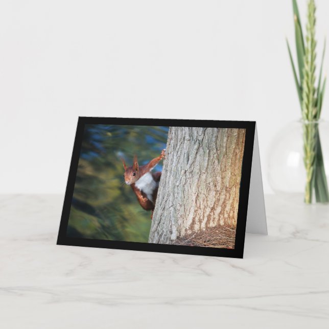 Red Squirrel Portrait Card (Front)