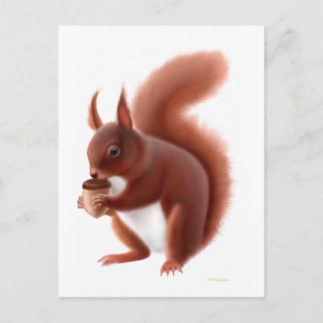 Red Squirrel Postcard (Front)