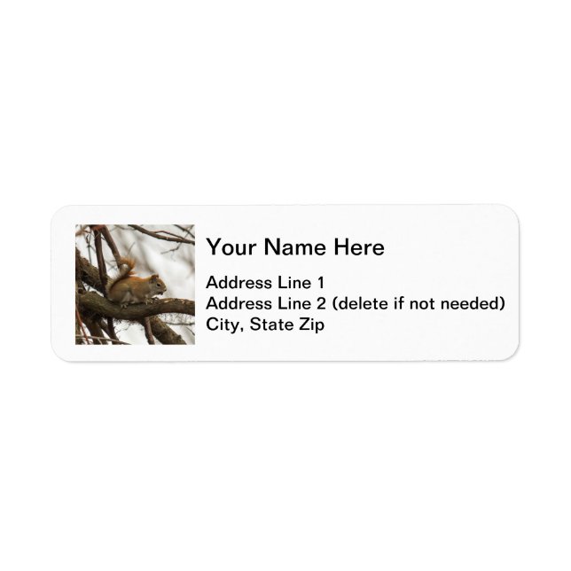 Red Squirrel Return Address Label (Front)