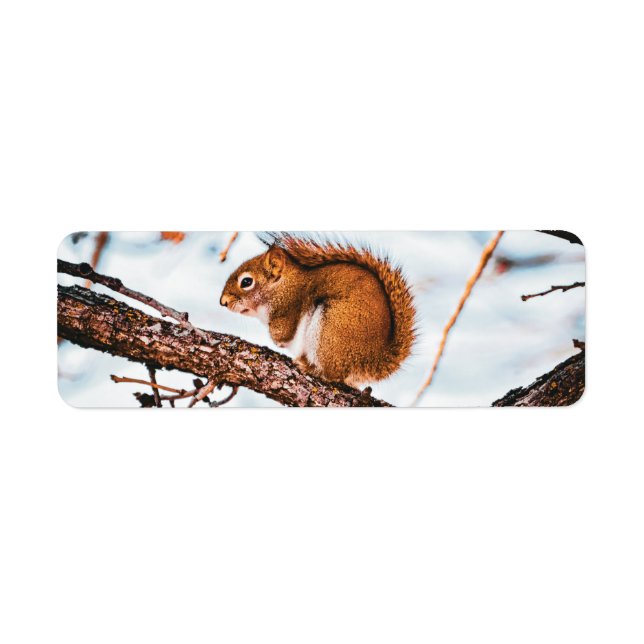 Red Squirrel Return Label Return Address Label (Front)