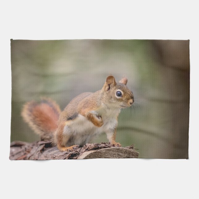 Red Squirrel Tea Towel (Horizontal)