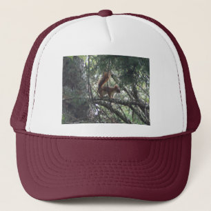 Red Squirrel Trucker Hat
