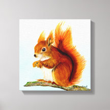 Red Squirrel Watercolor Painting 