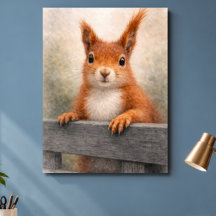 Red Squirrel Woodland Wildlife