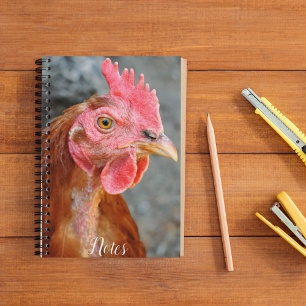 Red Star Chicken Hen Photo Notebook