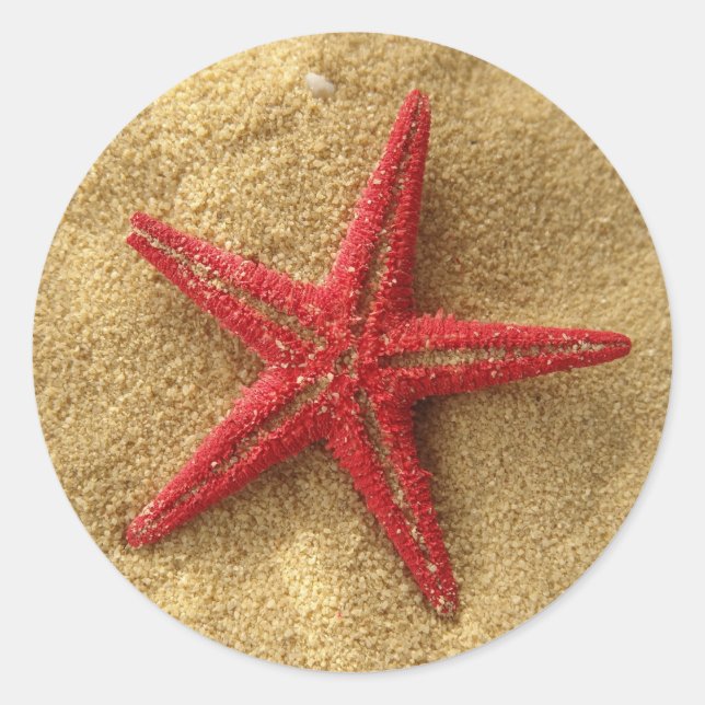 red starfish classic round sticker (Front)