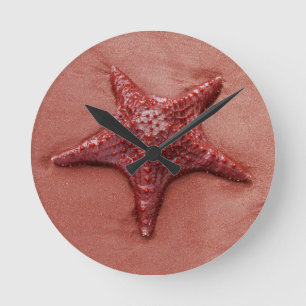 Red starfish round clock