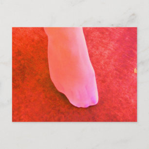 RED STOCKINGS POSTCARD