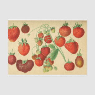 Red Strawberry Ephemera Decoupage Tissue Paper