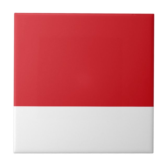 Red striped ceramic tile (Front)