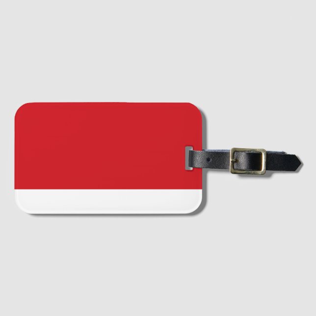 Red striped luggage tag (Front Horizontal)