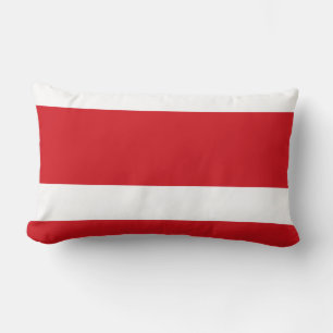 Red striped lumbar cushion