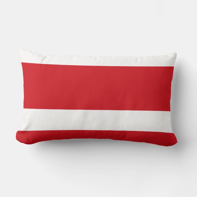 Red striped lumbar cushion (Front)