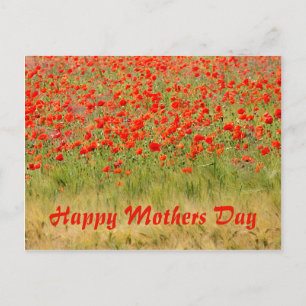red summer flower,mothers day postcard