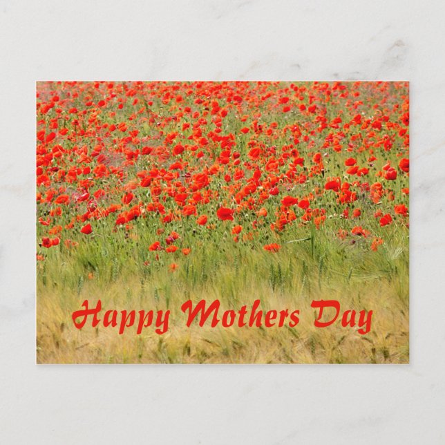 red summer flower,mothers day postcard (Front)
