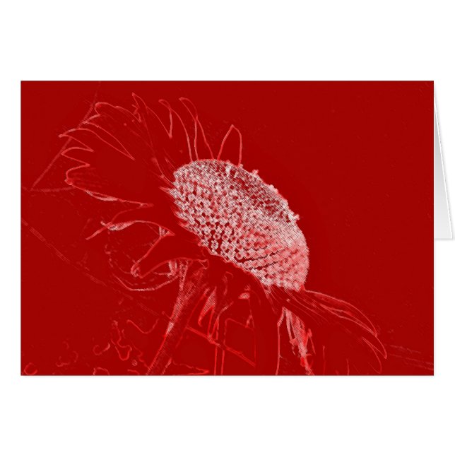 Red sunflower (Front Horizontal)