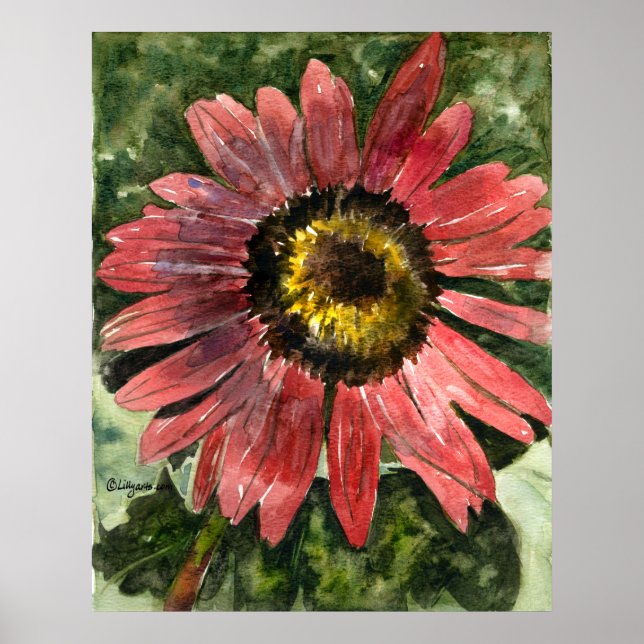 Red Sunflower 5 Watercolor Painting Print/Poster Poster (Front)