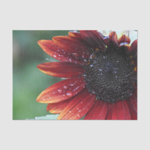 Red Sunflower Green Background Tissue Paper