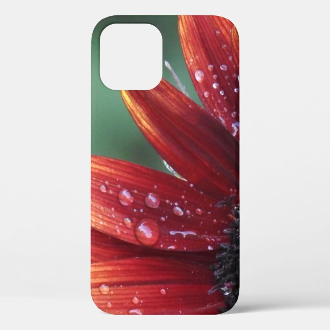 Red Sunflower Petals And Rain Drops Case-Mate iPhone Case (Back)