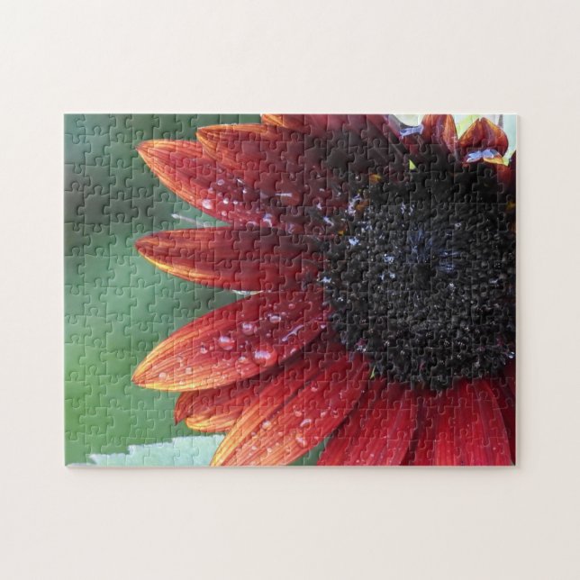 Red Sunflower Petals And Rain Drops Jigsaw Puzzle (Horizontal)
