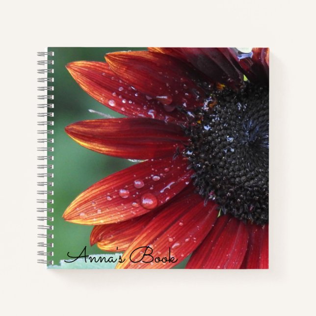 Red Sunflower Petals And Rain Drops *Personalise* Notebook (Front)