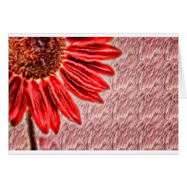 Red Sunflower Sketch (Front Horizontal)
