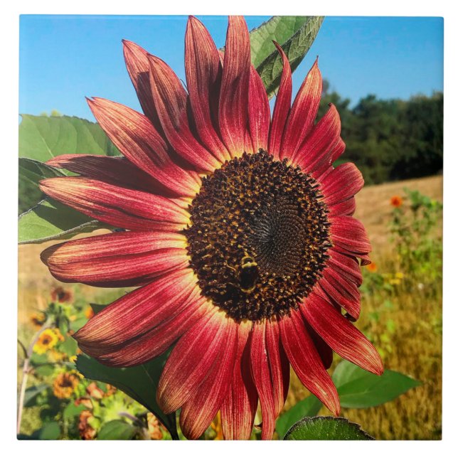 Red Sunflower with Bee Ceramic Tile (Front)